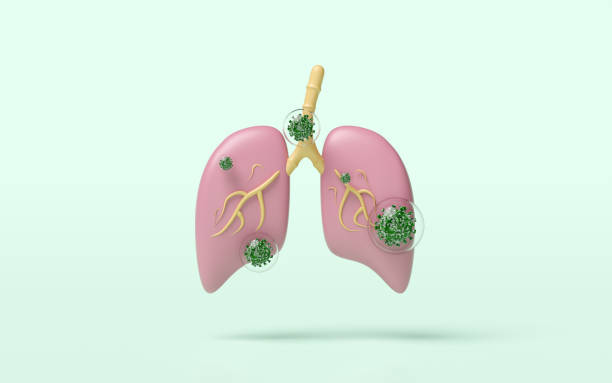 istock 3d realistic human lung with virus isolated on green background. world pneumonia day, check lung health, organs concept, 3d illustration render 2206155009
