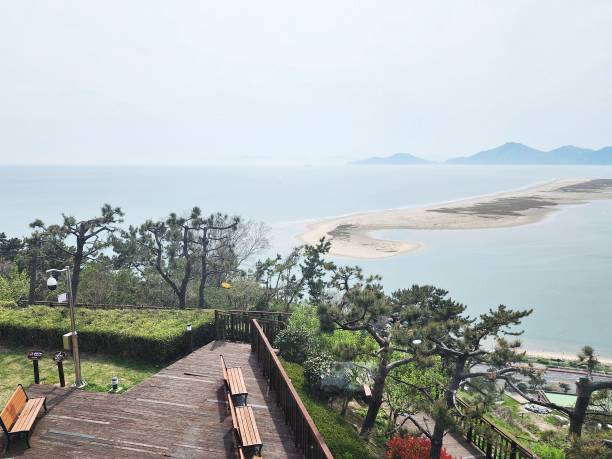 the place where the sea meets the river