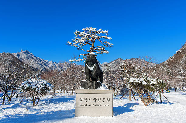 SEORAKSAN, KOREA - FEBRUARY 7: Seoraksan National Park in winter Location on Gangwon, South Korea on February 7, 2016. stock photo