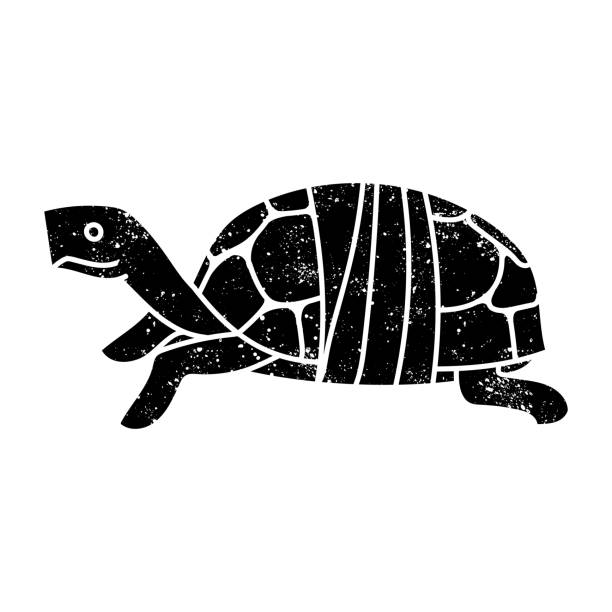 Injured tortoise shell carapace black hand drawn icon in grunge look