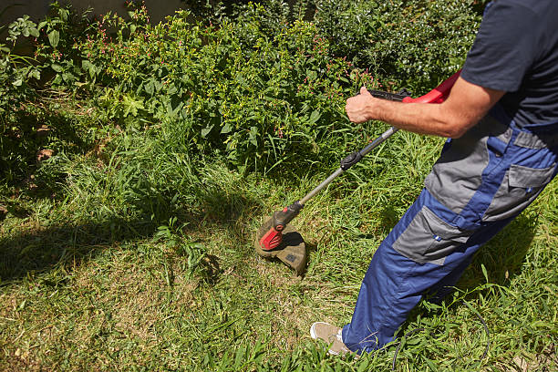 istock Gardener with a grass trimmer cutting overgrown grass and weeds 2206165272