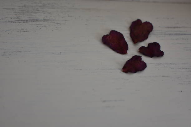 Dried camellia petals photographed on a white table are heart-shaped and very beautiful