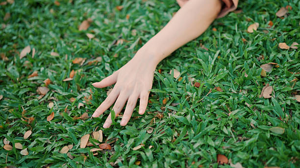 Two hands reach out gently in a vibrant green field, embodying a serene connection with nature. The softness and freshness of the grass create a tranquil atmosphere.