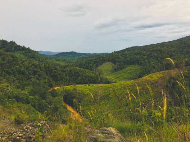 istock Landscape Meratus Borneo Rainforest, Indonesia 2206167833