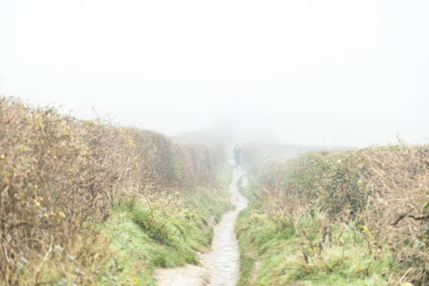 Early morning footpath near Guildford Surrey England Europe