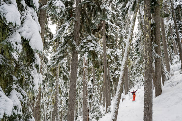 istock Distant view of backcountry skier in snowy forest 2206172908