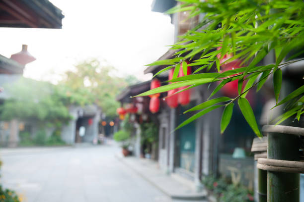 Bamboo leaves and lanterns outside traditional buildings，Chinese traditional culture.