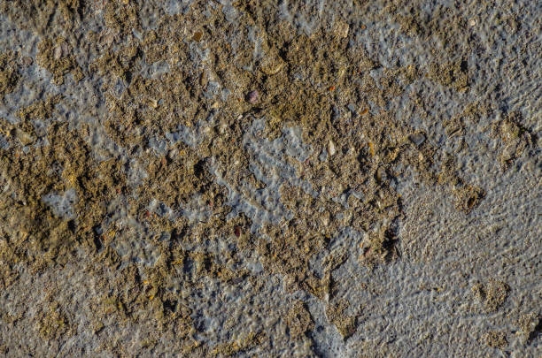Gray concrete surface with a rough texture, featuring patches of sand embedded across the area. The gray background showcases specks of small, coarse sand particles, creating a rugged and uneven appearance. The material appears weathered, with variations in the surface adding depth and character. The contrast between the gray concrete and tan sand highlights the granular composition and natural integration of materials, typical in construction or outdoor settings.