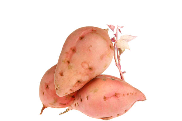 Fresh ripe sweet potatoes on a white background