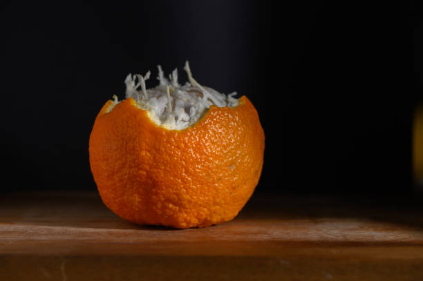 Striking juxtaposition of a decayed orange revealing its interior on a wooden surface