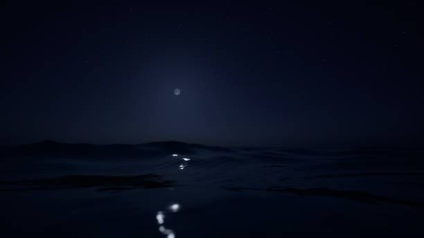Minimalistic night landscape, peaceful sea scene, ocean waves, clear water lapping at camera level, The moon is in the sky, casting a moonlight path on the ocean surface, calm and beautiful natural background