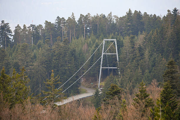 The Elevated Hiking Path of Baumwipfelpfad Schwarzwald, in the Black Forest, Germany