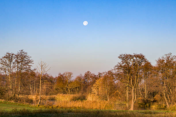 istock Moon in the sky in the morning. 2206188615