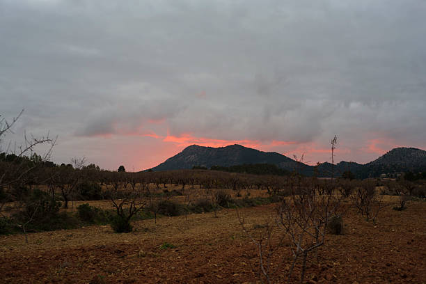 Sunset in Cehegin field in Murcia