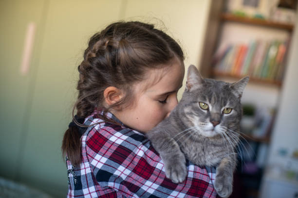 istock Little Girl carrying her cat 2206193197