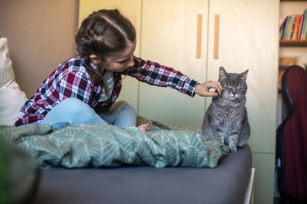 istock Little Girl spending her time with her cat at home 2206193396