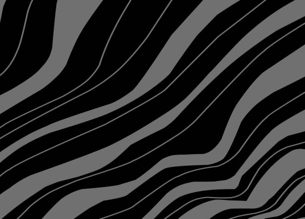 istock background abstract waving shape and line in black and white color 2206195254