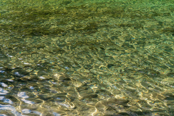 istock Hintersee Lake and Ramsau in the Bavarian Alps, Germany 2206198953