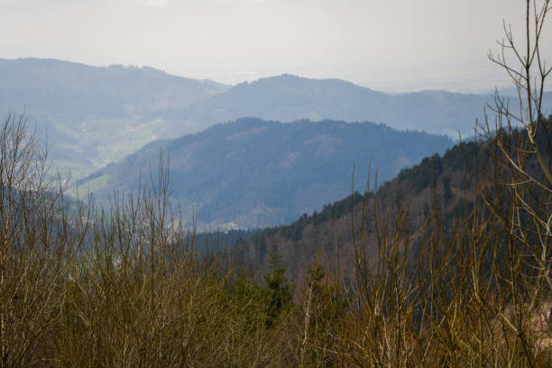 Nationalpark Schwarzwald, Black Forest National Park in Baden-Württemberg