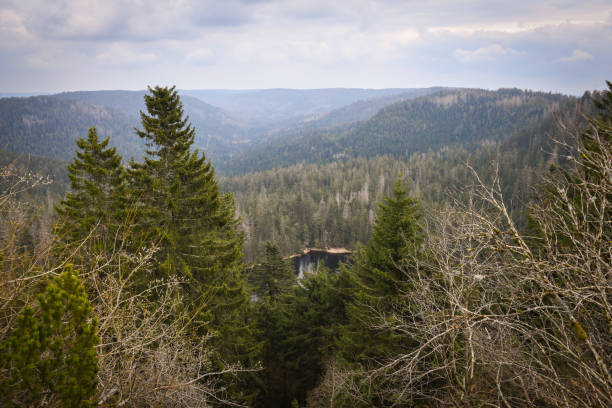 Nationalpark Schwarzwald, Black Forest National Park in Baden-Württemberg