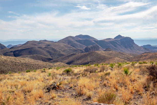 istock Mountain and grass field view at Big Bend National Park Texas 2206204230
