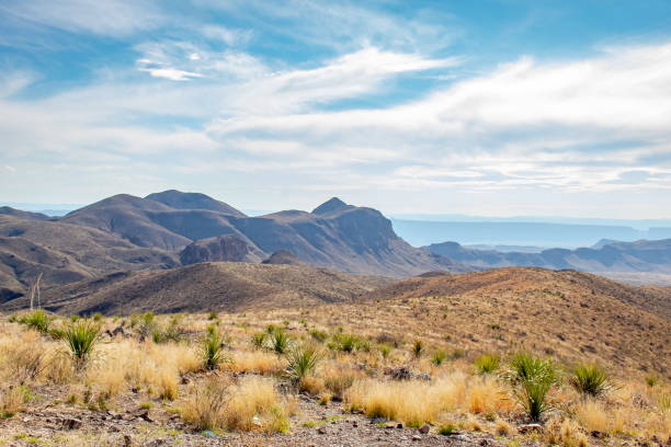 istock Mountain and grass field view at Big Bend National Park Texas 2206204232