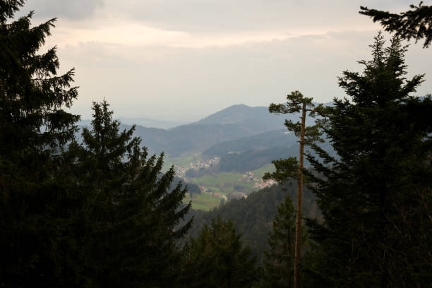 Nationalpark Schwarzwald, Black Forest National Park in Baden-Württemberg
