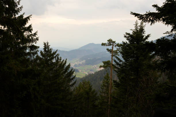 Nationalpark Schwarzwald, Black Forest National Park in Baden-Württemberg
