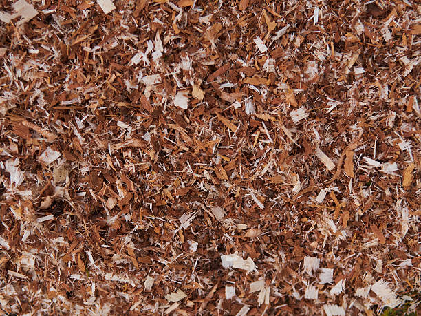 A pile of wood chips with a brownish color. The pile is scattered and has a rough texture