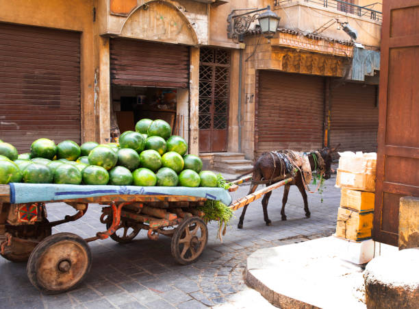 Egypt Cairo Khan el Khalili market watermelon wagon cart