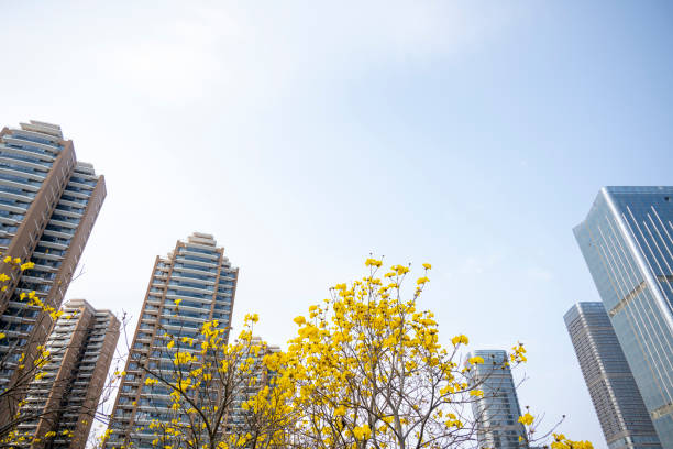 Commercial buildings under clear skies and roadside trees