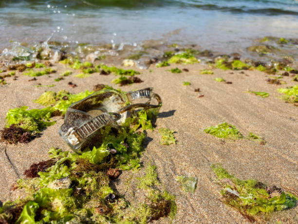 istock Waste plastic diving goggles that will be brought to the beach by waves. Plastic pollution and environmental problem concept. Recycle reduce and reuse 2206208530