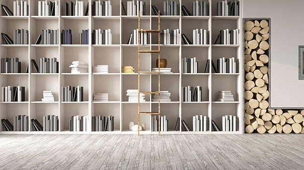 istock Cozy Room with Library, Books and Fireplace 2206214898
