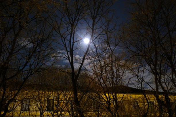 The moon over via Biondi, Milan, Lombardy, Italy, in a winter night