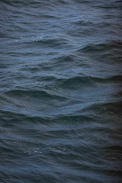 Wave texture with dark sea water. Nature texture. Abstract background.