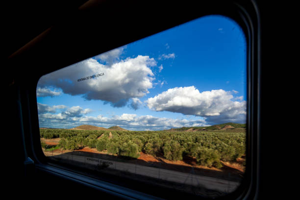 istock Stunning olive fields viewed from a train near Antequera in Andalusia 2206218717