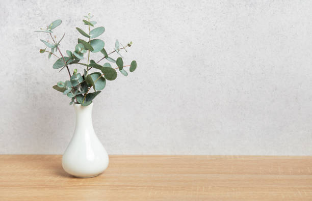 istock Eucalyptus branches in vase creating a fresh and natural atmosphere 2206224001