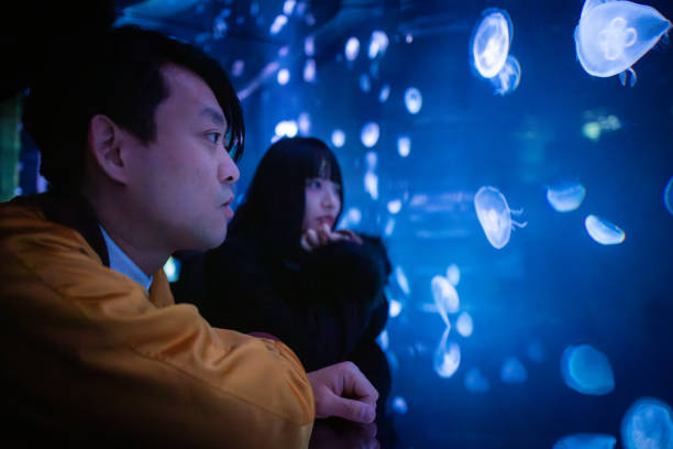 istock Couple looking at school of jellyfish 2206224464