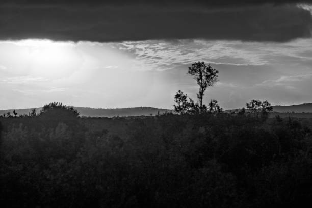 Dramatic sky over an South African Game Reserve.