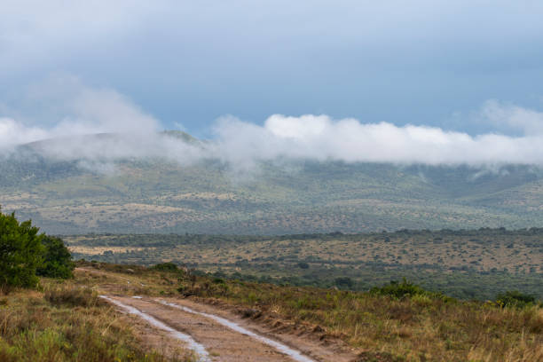 Dirt road in a South African Game Reserve.