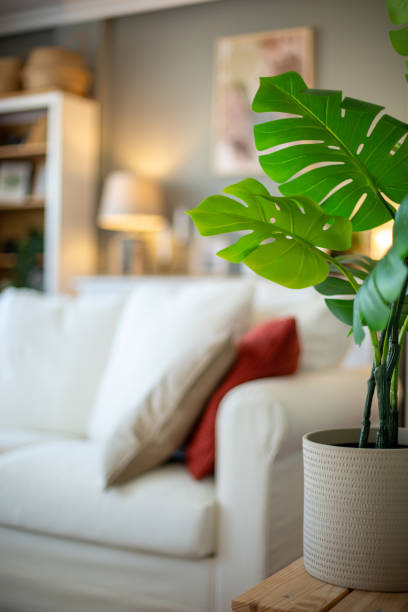 istock Living room with potted plant 2206225671