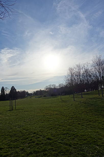 istock Backlit public park in the Ile de France 2206232791