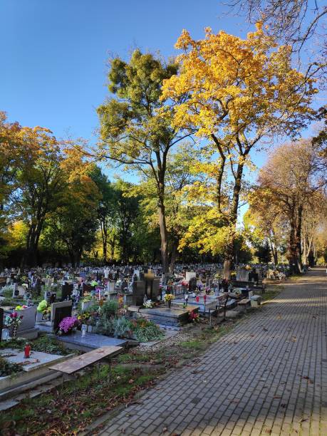 istock Cemetery autumn view in Bytom, Poland 2206237317