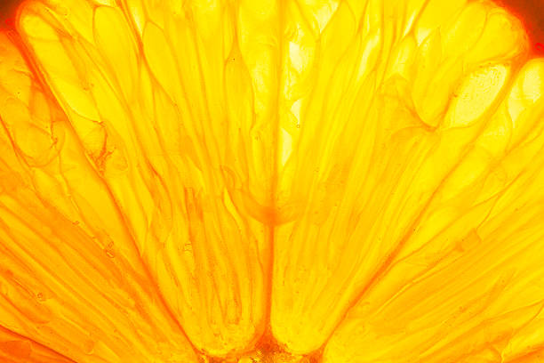 istock Macro orange texture,Orange slice with backlight, abstract macro photography orange fruit closeup background, citrus fruit texture 2206239572