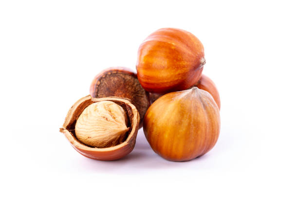 A collection of fresh hazelnuts rests on a clean white surface, highlighting both the intact brown shells and a split nut revealing its creamy inner kernel. These nuts are often used in baking, cooking, and as a nutritious snack.