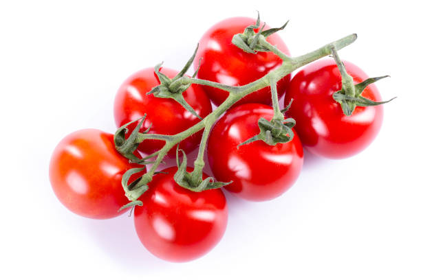 istock Freshly harvested cherry tomatoes on a stem displayed against a white background 2206242685