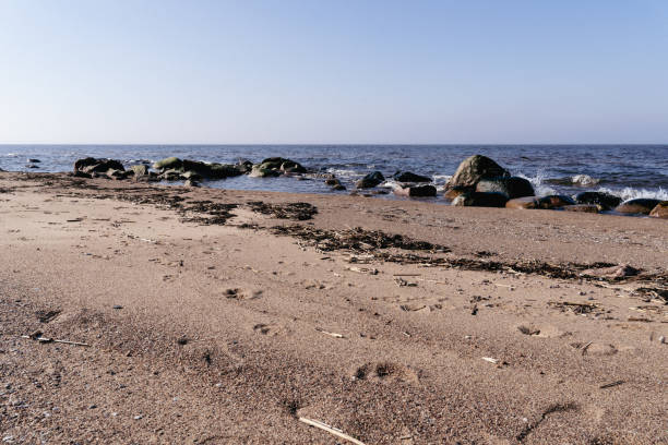 Gentle Ocean Waves Washing Over a Sandy Beach with Scattered Rocks