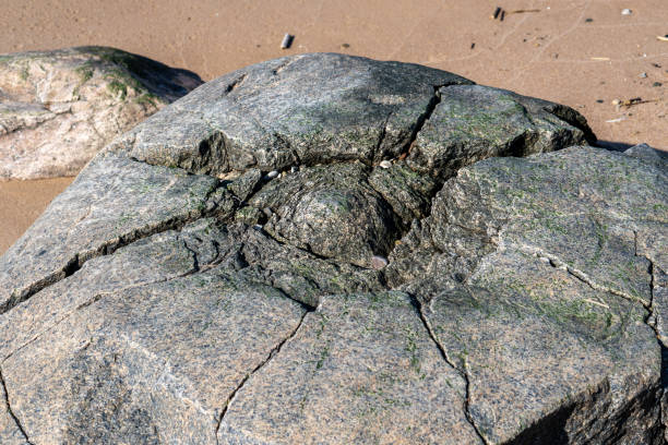 istock Cracked Weathered Rock with Natural Erosion Patterns on the Beach 2206246015