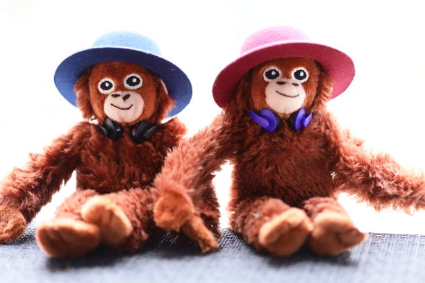 Two cuddly friends sit side by side, ready for play or snuggle