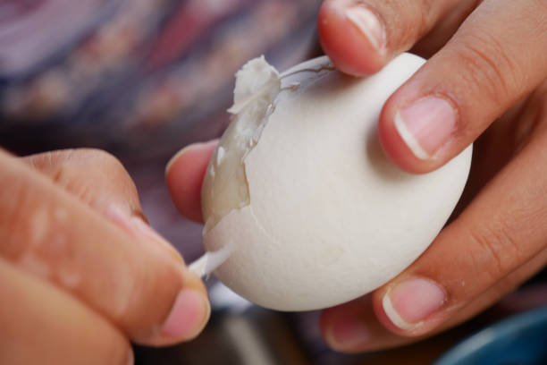 istock women hand perfectly Peeled Boiled Eggs 2206246794